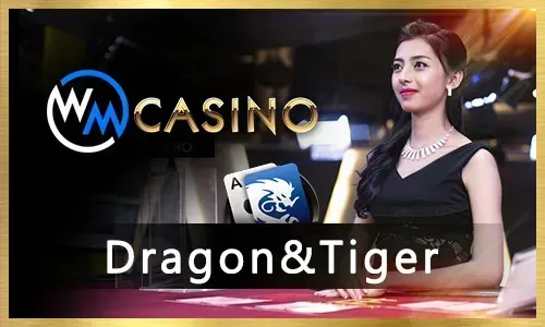 Bingoplus MMA Slots and Arcade Games